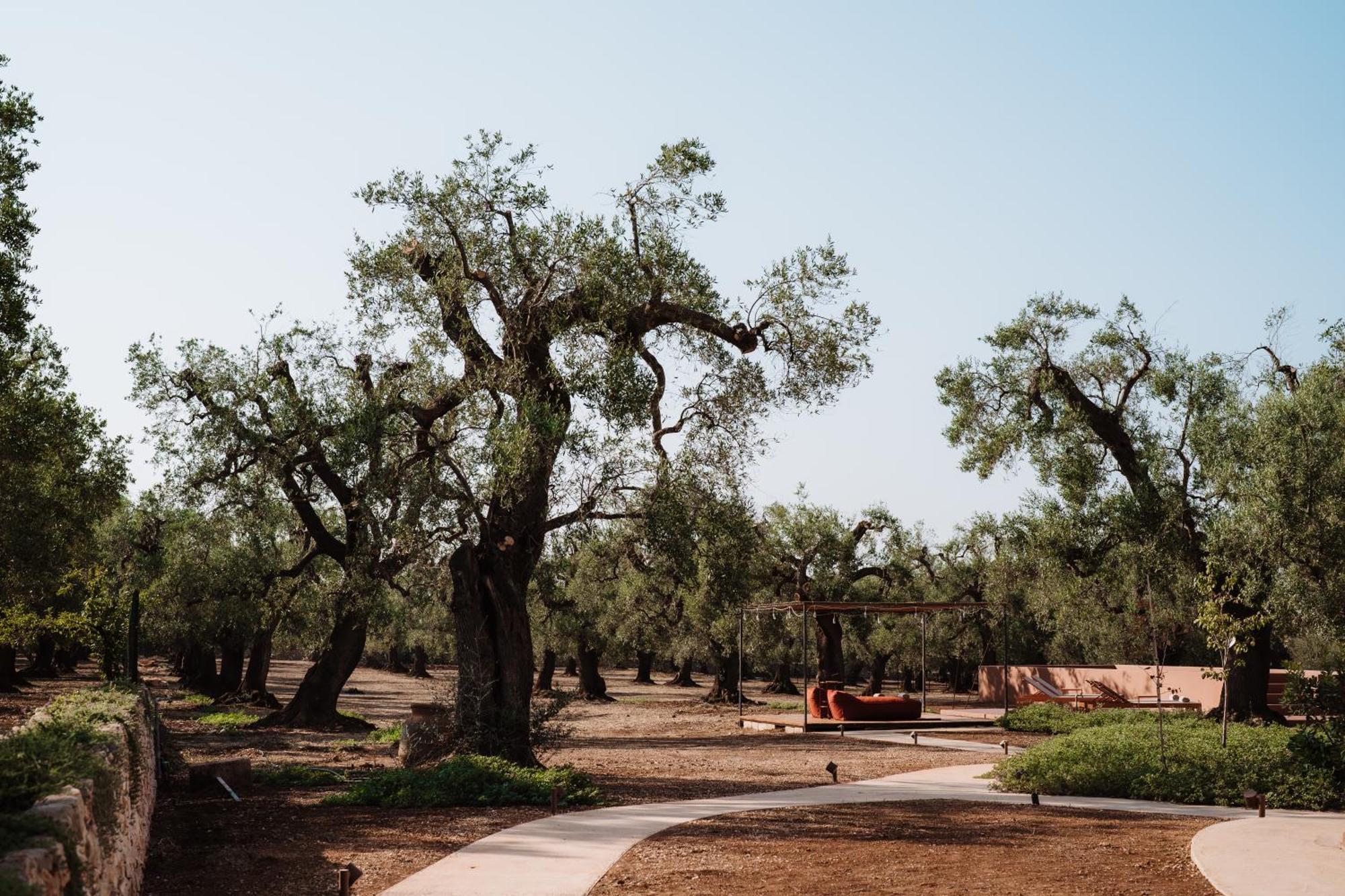 Ozio - Il Trullo Rosso Acomodação com café da manhã Fasano Exterior foto