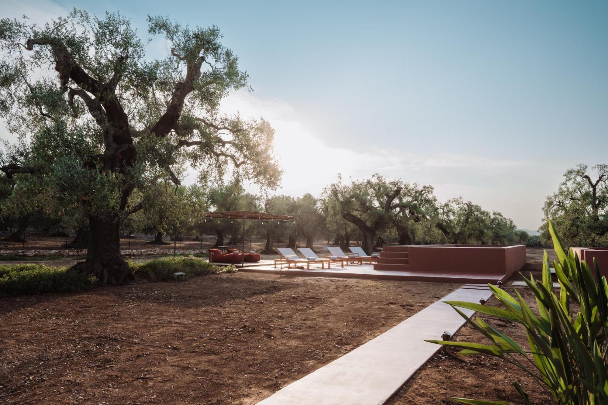 Ozio - Il Trullo Rosso Acomodação com café da manhã Fasano Exterior foto